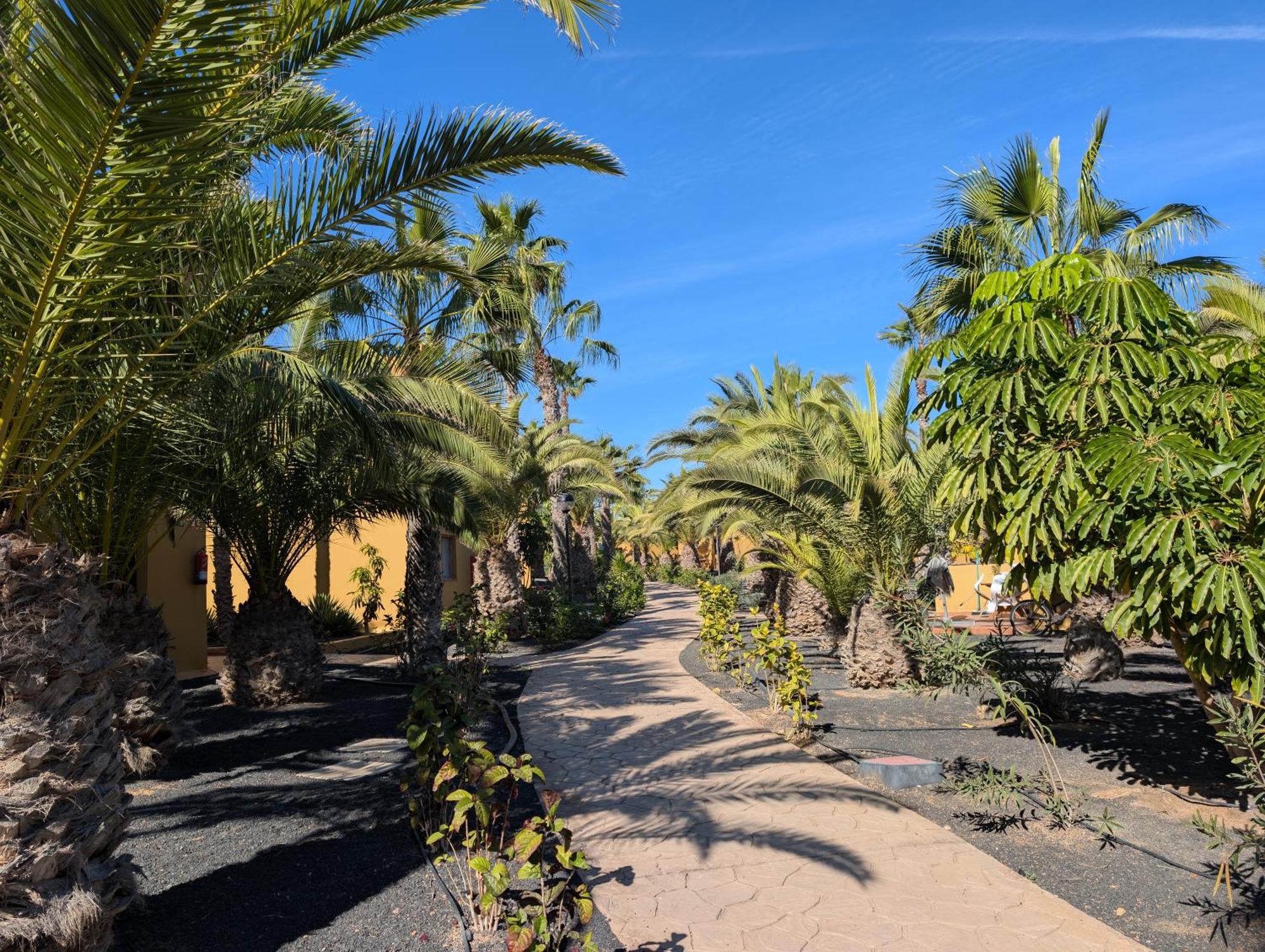 Casa Miro Apartman Corralejo Kültér fotó