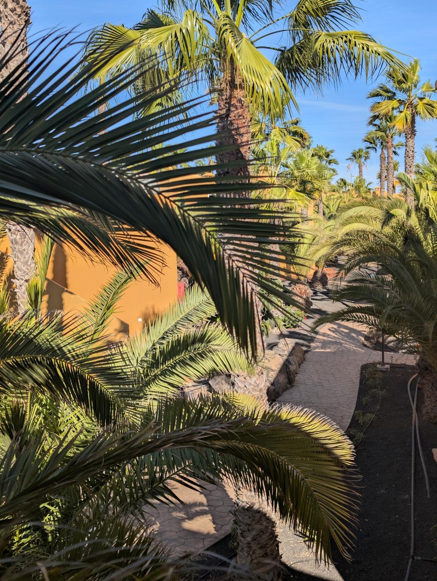 Casa Miro Apartman Corralejo Kültér fotó